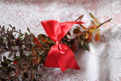 Close-up of red rose flower