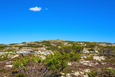 Scenic view of landscape against blue sky