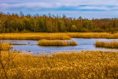 Scenic view of lake against sky