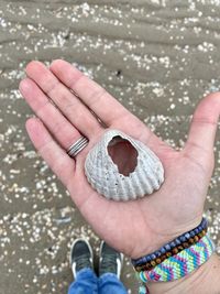 Low section of woman holding seashell