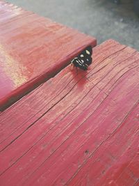 Close-up of wooden plank