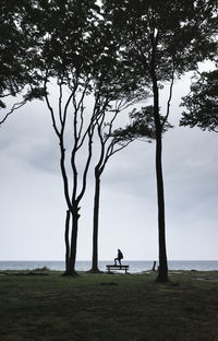 Man standing on field by sea against sky