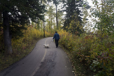 Rear view of a man walking on road in forest