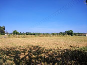 Scenic view of field against clear sky