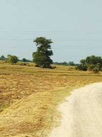 Scenic view of landscape against clear sky