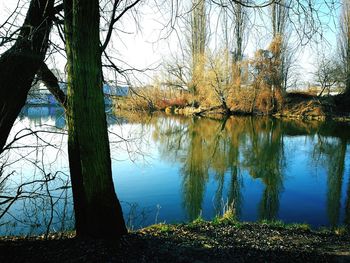 Reflection of bare trees in lake against sky