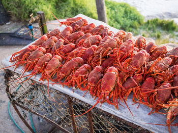 Close-up of lobster on table outdoors