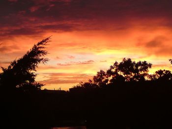 Silhouette of trees at sunset