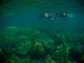 People swimming in sea