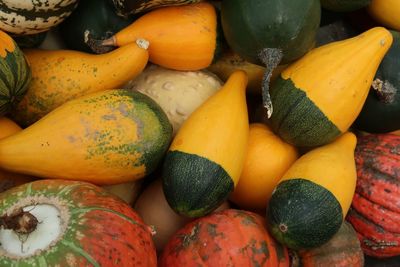 Full frame shot of multi colored fruits for sale at market stall