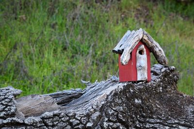 Close-up of birdhouse on tree trunk