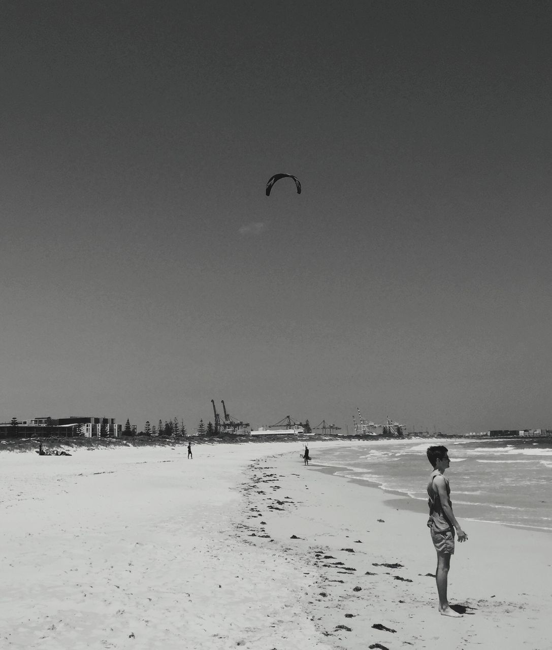 beach, sea, water, leisure activity, bird, lifestyles, clear sky, shore, sand, full length, men, animal themes, copy space, flying, horizon over water, nature, person, animals in the wild