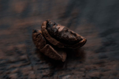 High angle view of dry leaf on table