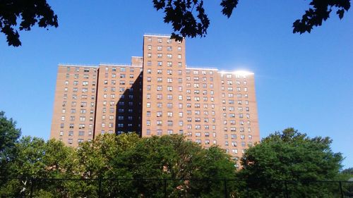 Low angle view of trees and buildings against sky