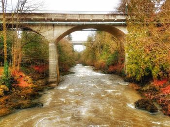 Water flowing through plants