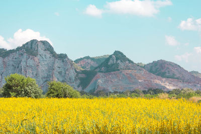 Scenic view of field against cloudy sky