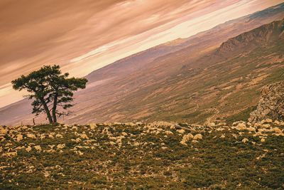 Scenic view of landscape against sky during sunset
