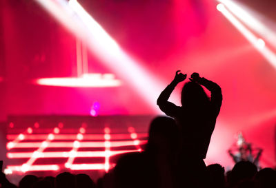 Silhouette of people at music concert