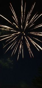 Low angle view of firework display at night