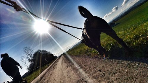 Low section of man against clear sky