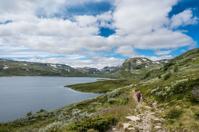 Landscape at toviken, fødalen and lake djupsvatnet, norway