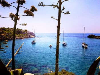 Sailboats moored on sea against sky