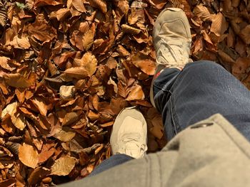 Low section of man with autumn leaves