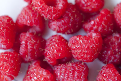 Delicious fresh raspberries with shallow depth of field