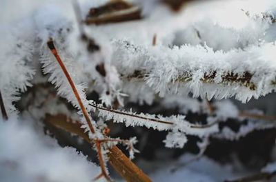 Close-up of frost on snow