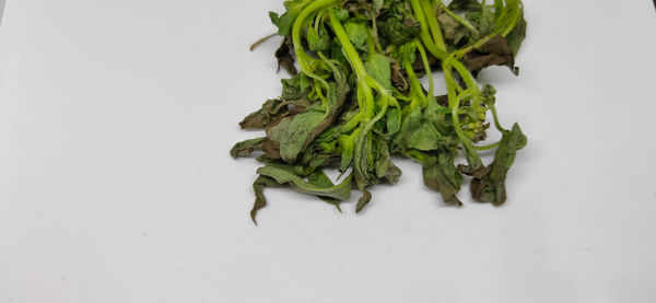 High angle view of vegetables on white table