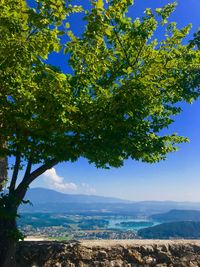 Scenic view of tree mountains against sky