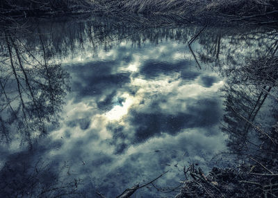 Reflection of trees on snow covered land