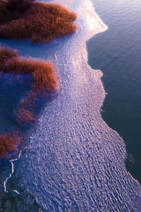 Aerial shot of frozen lakeshore and reed