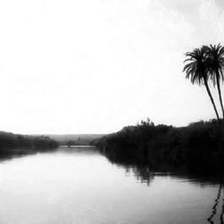 Scenic view of lake with trees in background