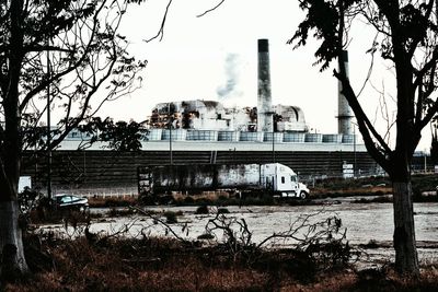 View of trees and building