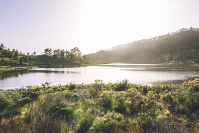 Scenic view of lake against clear sky