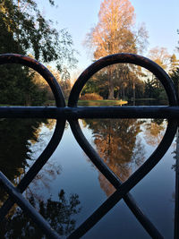 Reflection of trees on water