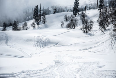 Scenic view of snow covered land