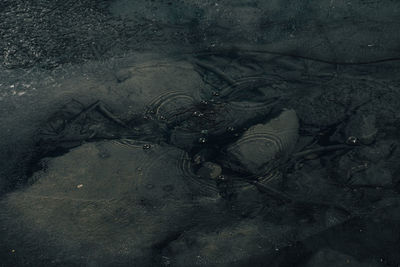 High angle view of abandoned water