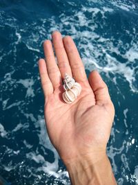 Close-up of human hand holding snail 