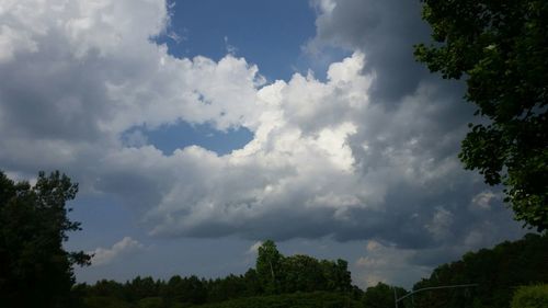 Low angle view of trees against cloudy sky