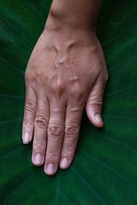 Close-up of human hands