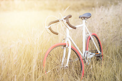 Bicycle parked on field