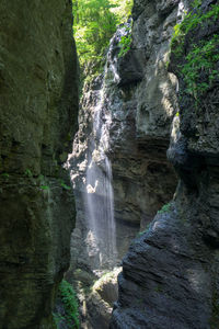 Scenic view of waterfall in forest