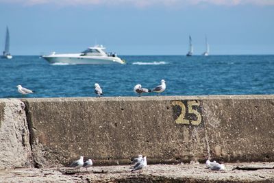 Seagulls on sea shore against sky