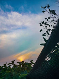 Low angle view of silhouette trees against sky during sunset