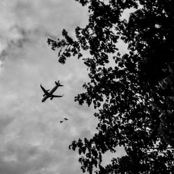 Low angle view of airplane flying against sky