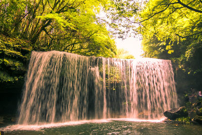 Scenic view of waterfall in forest