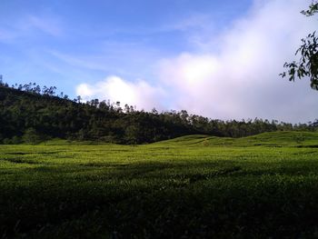 Scenic view of field against sky