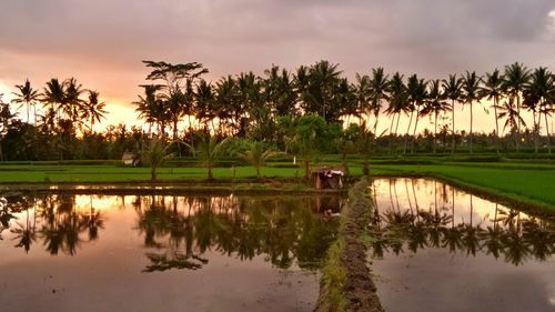 Scenic view of lake against sky during sunset